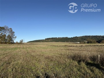 Venta / Terreno / Villarrica