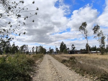 Terreno en venta en Hermosa Parcela de 5000 M2, Entre Villarrica y Pitrufquen 5000 M2