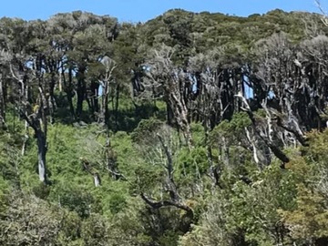 Terreno en venta en Chepu, Ancud
