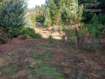 Sitio en venta en sector chanco km 13,5, Quirihue