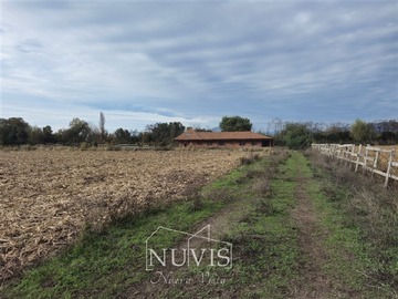Venta / Parcela / Palmilla