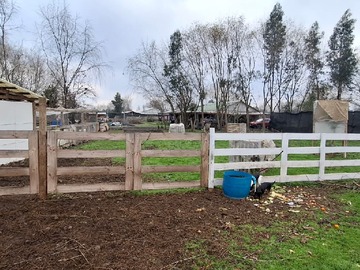 Venta / Terreno Agricola / Longaví