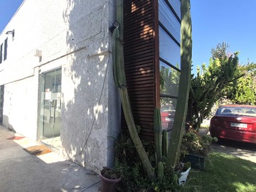 Casa en venta en Casa Comercial en Vitacura! (152323), Vitacura - 6 dormitorios, 4 baños