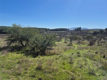Parcela en venta en San Nicolás, San Nicolás