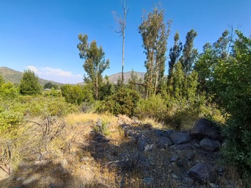 Venta / Terreno Agricola / Til til
