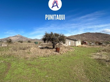 Sitio en venta en Punitaqui, Ovalle