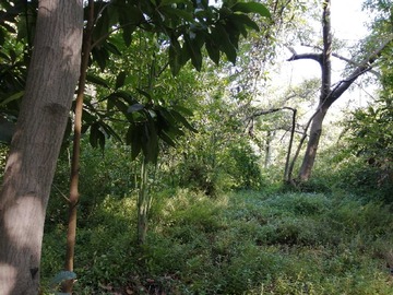 Terreno en venta en Terreno de 8.772 mt2 en el centro de la cruz (143670), La Cruz