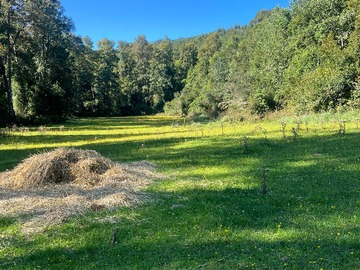 Venta / Terreno / Lanco