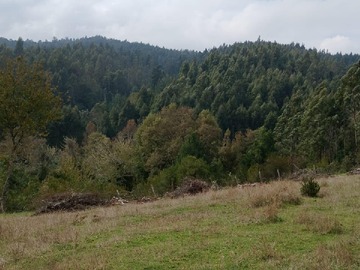 Terreno en venta en Los Lagos, Lipingue, Valdivia