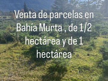Parcela en venta en Bahía Murta, Río Ibáñez