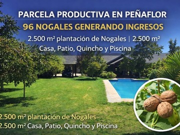 Parcela en venta en ., Peñaflor - 5 dormitorios, 4 baños