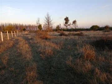 Parcela en venta en terma de catillo, Parral