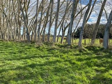 Venta / Parcela / Frutillar