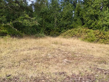 Terreno Forestal en venta en Vendo 43 Hectáreas No Están Regularizadas