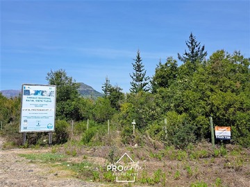 Parcela en venta en Parcela de 5,6 has, zona apta para subdivisión en terrenos 5000 m2, parque Radal, Maule, Río Claro