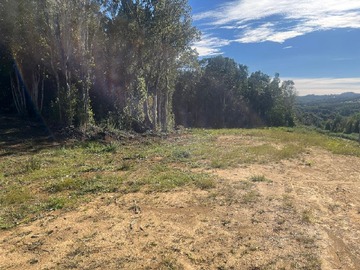 Terreno Agricola en venta en Mechaico, Ancud