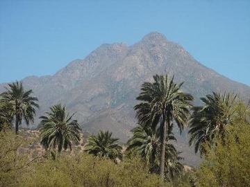 Terreno en venta en Av El palmar, Hijuelas