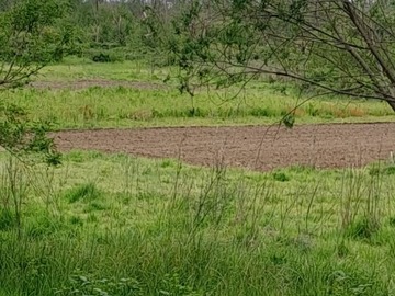 Terreno Agricola en venta en Oportunidad de inversión. Terreno agrícola, km8 salto laja, Los Ángeles