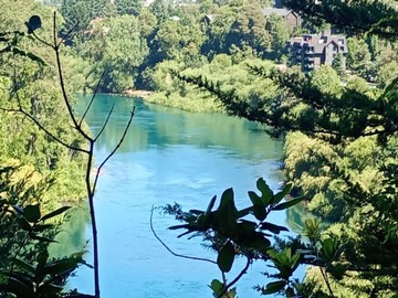 Venta / Parcela / Villarrica
