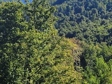 Parcela en venta en curarrehue cerro Las Peinetas, Pucón
