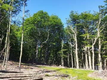 Terreno Agricola en venta en El fraile, Coyhaique