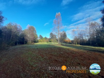 Venta / Terreno / Villarrica