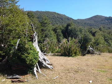 Terreno en venta en Venta Campo para Inversión Huife-Pucón (174084), Pucón