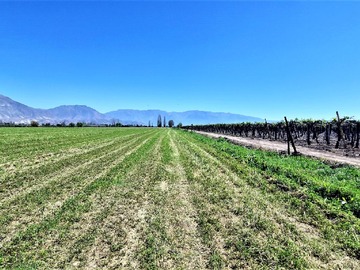 Terreno Agricola en venta en Parcela 5 o del Medio, parcela 2, San Rafael, San Felipe, San Felipe