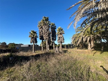 Sitio en venta en Sector Huasos 2, Santo Domingo