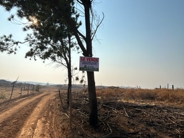 Terreno en venta en Rapilermo, Curepto