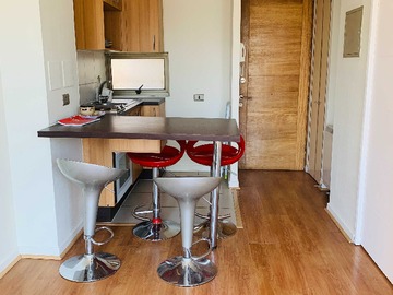 Arriendo Mensual / Departamento / Santiago