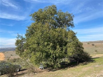 Parcela en venta en Litueche, Litueche