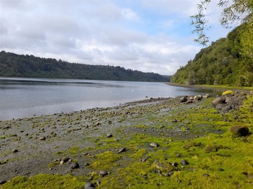 Sitio en venta en Quemchi, Quemchi