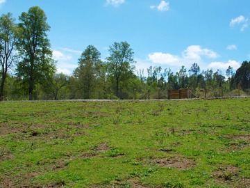 Venta / Terreno / Villarrica
