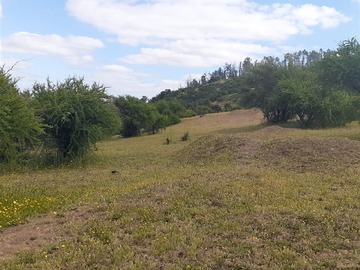 Parcela en venta en a 1,2 km al norte del puente Rio Claro, Talca