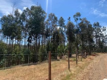 Terreno Agricola en venta en Traiguén, Traiguén
