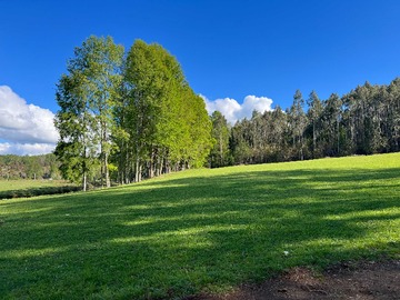 Terreno en venta en Terreno en venta Villarrica 5.000ha (139342), Villarrica