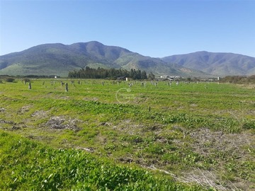 Terreno Agricola en venta en Maiten Largo, La Ligua - 3 dormitorios, 2 baños