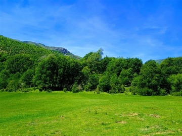 Venta / Terreno / Lonquimay