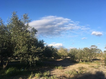 Terreno Agricola en venta en caleta los choros, Coquimbo