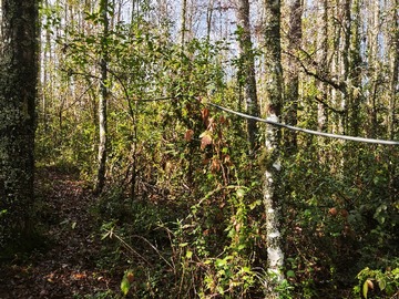 Terreno en venta en Venta campo 1 hectárea-villarrica a pucón (169882), Villarrica