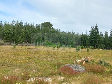 Parcela en venta en hijuela la pachamama, algarrobo, San Antonio