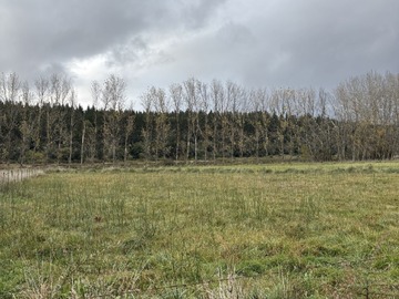 Parcela en venta en Macrolotes de 1,5 ha con laguna navegable, Yumbel