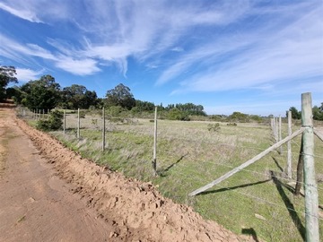 Sitio en venta en Las Dichas Algarrobo 100% Plana Con Vista Al Mar, Algarrobo