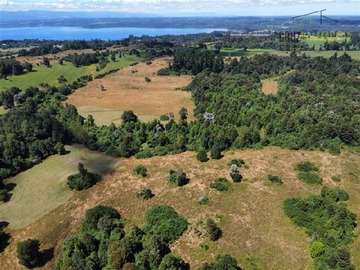 Terreno Agricola en venta en 22 hectareas a 20 minutos de Entrelagos y 15 minutos de la desembocadura del lago Rupanco, Puyehue