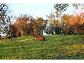 Parcela en venta en Ruta j-440, Teno