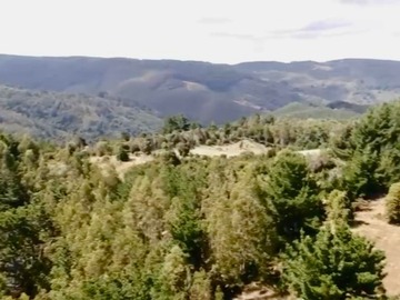 Venta / Sitio / Carahue