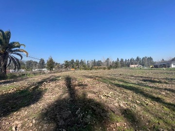 Terreno en venta en Venta Terreno 5.000 M2 - Talagante