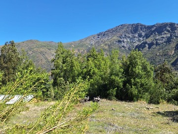 Terreno Agricola en venta en El volcan, San José de Maipo