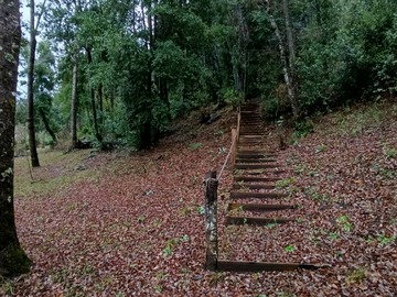 Terreno en venta en sector lo nieve, Santa Bárbara